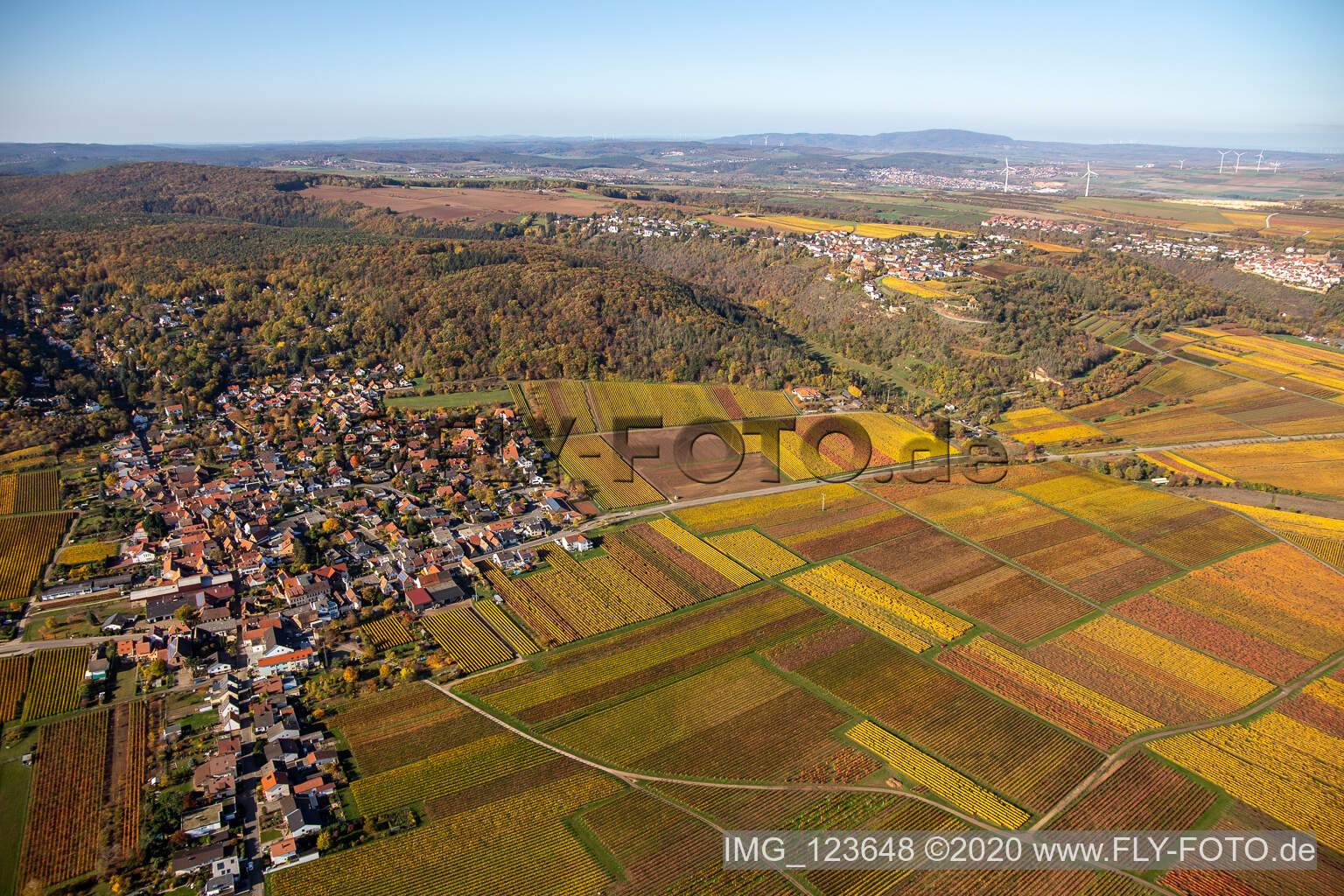 Oblique view of Bobenheim am Berg in the state Rhineland-Palatinate, Germany