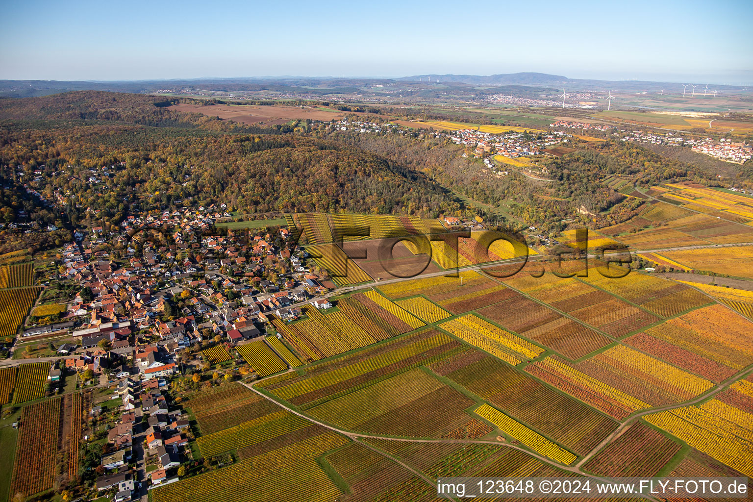 Oblique view of Bobenheim am Berg in the state Rhineland-Palatinate, Germany