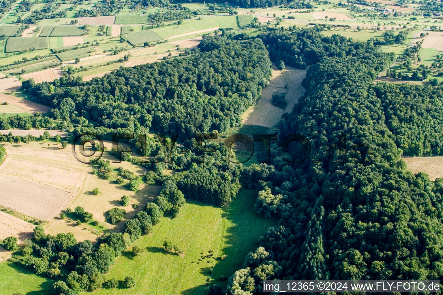 Drone recording of Kettelbachtal Nature Reserve in the district Obernhausen in Birkenfeld in the state Baden-Wuerttemberg, Germany