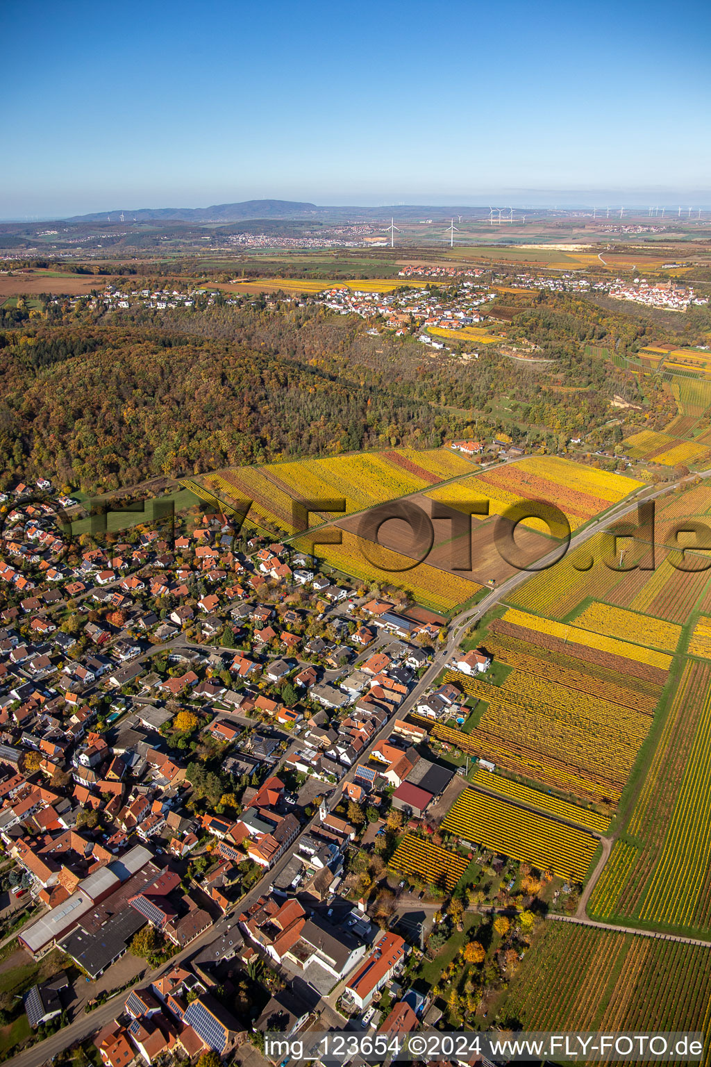 Village on the edge of vineyards and wineries in the wine-growing area in Bobenheim am Berg in the state Rhineland-Palatinate, Germany