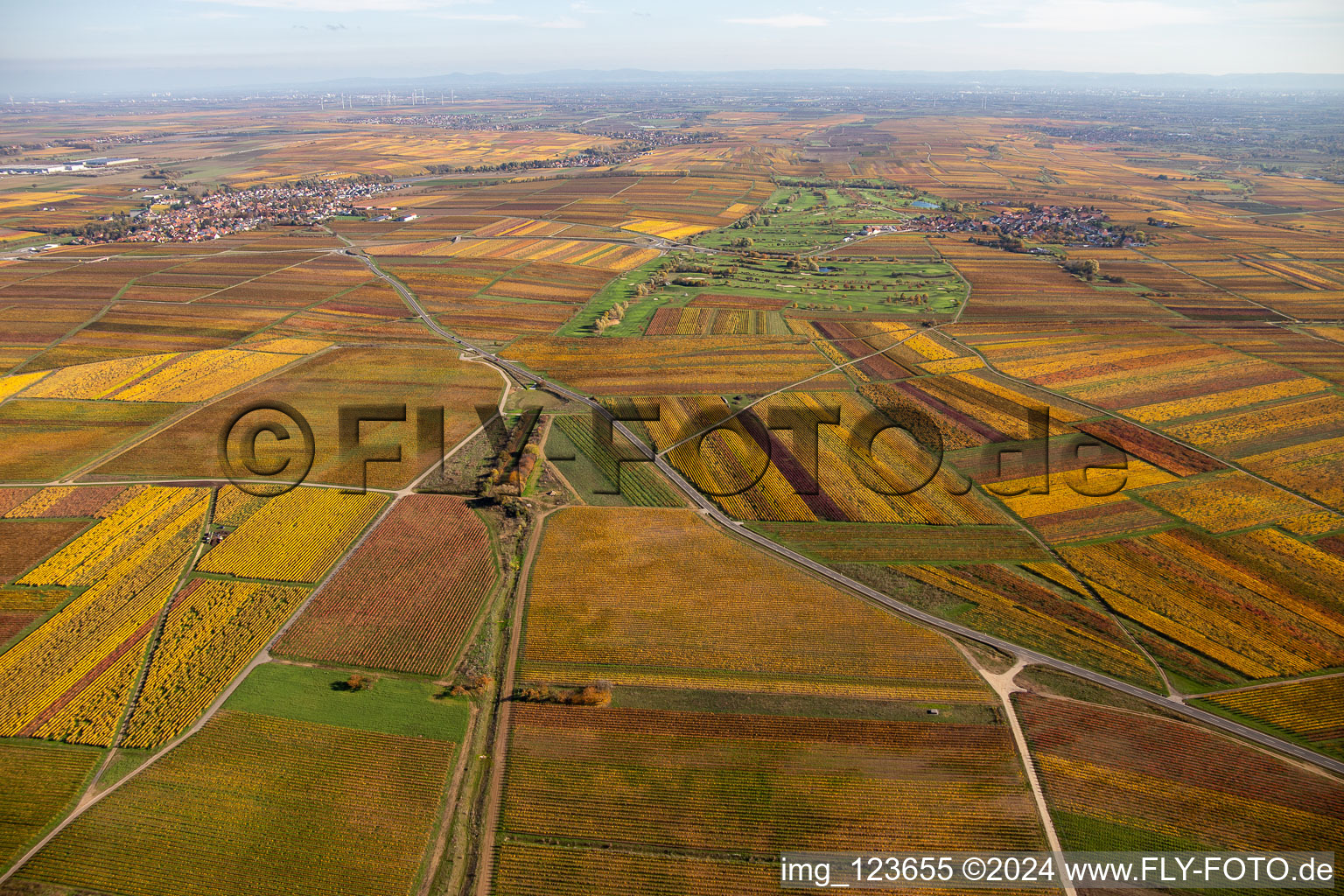 Autumnal discolored vegetation view of the Golf course at Golfgarten Deutsche Weinstrasse - Dackenheim - GOLF absolute in Dackenheim in the state Rhineland-Palatinate, Germany