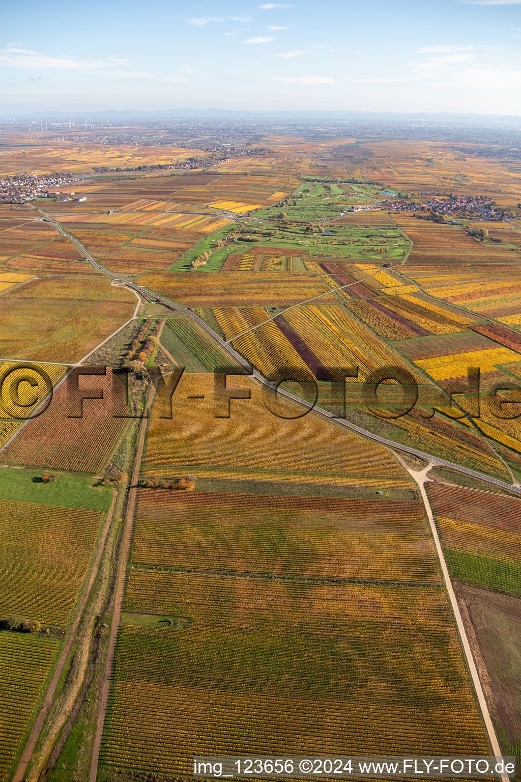 Golf Garden German Wine Route in Dackenheim in the state Rhineland-Palatinate, Germany out of the air