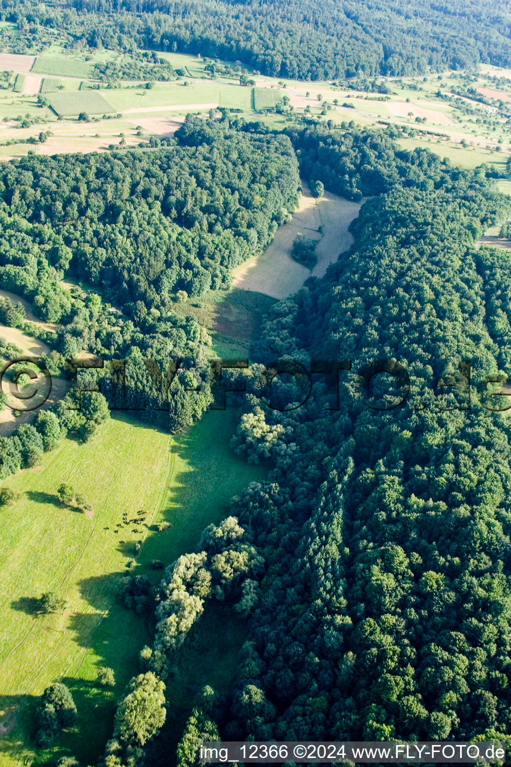 Drone image of Kettelbachtal Nature Reserve in the district Obernhausen in Birkenfeld in the state Baden-Wuerttemberg, Germany