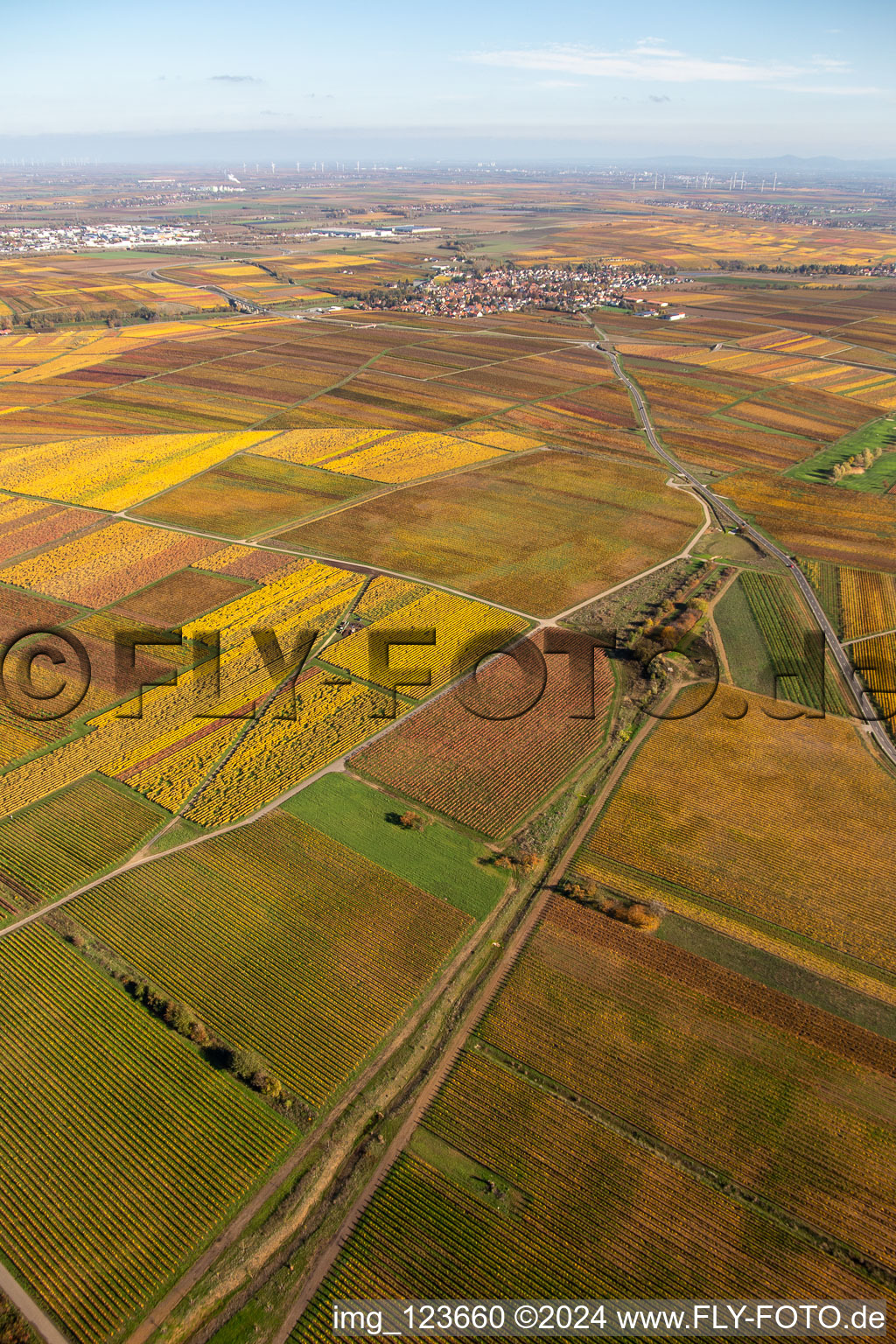 Kirchheim an der Weinstraße in the state Rhineland-Palatinate, Germany viewn from the air