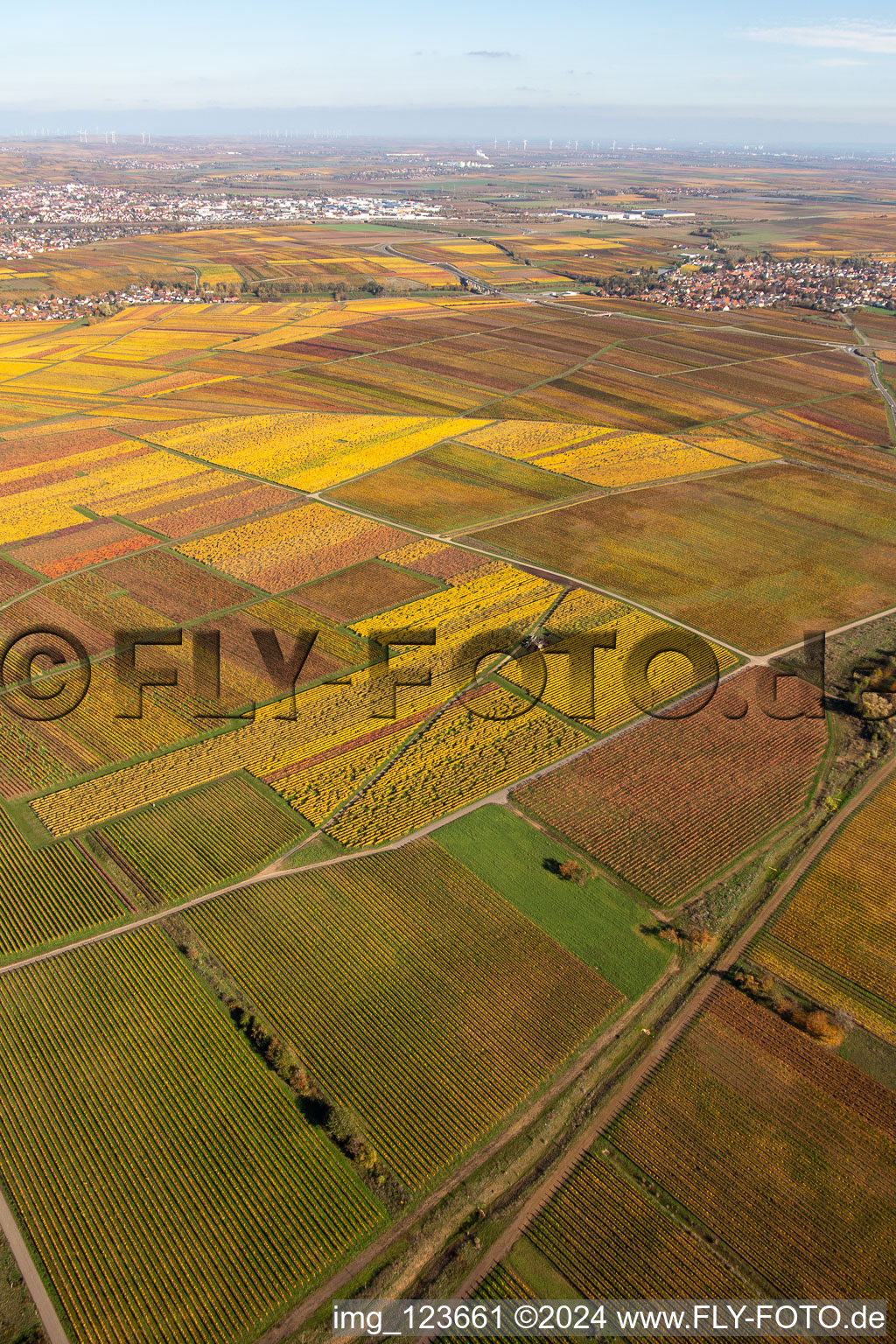 Kleinkarlbach in the state Rhineland-Palatinate, Germany seen from a drone