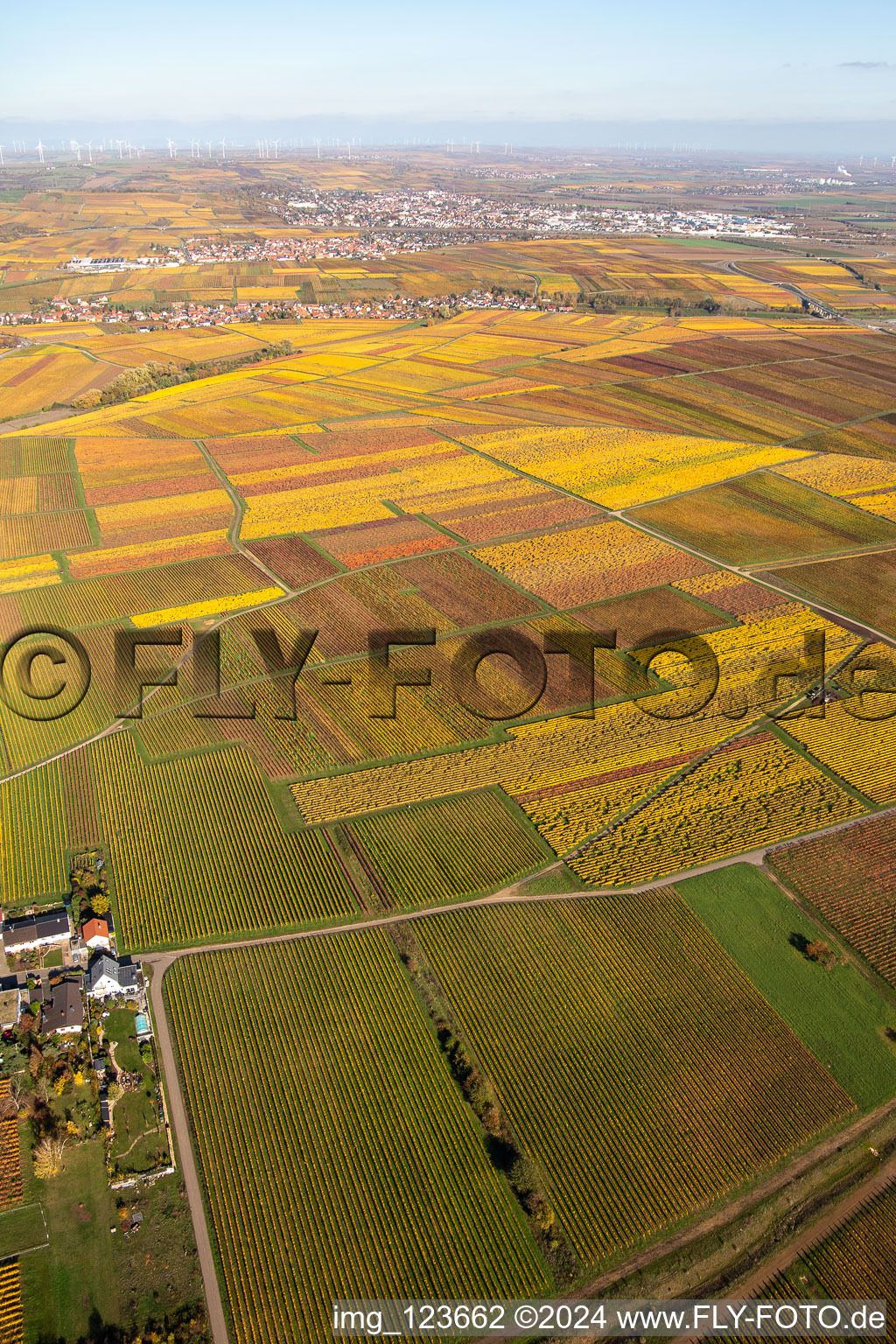 Aerial view of Kleinkarlbach in the state Rhineland-Palatinate, Germany