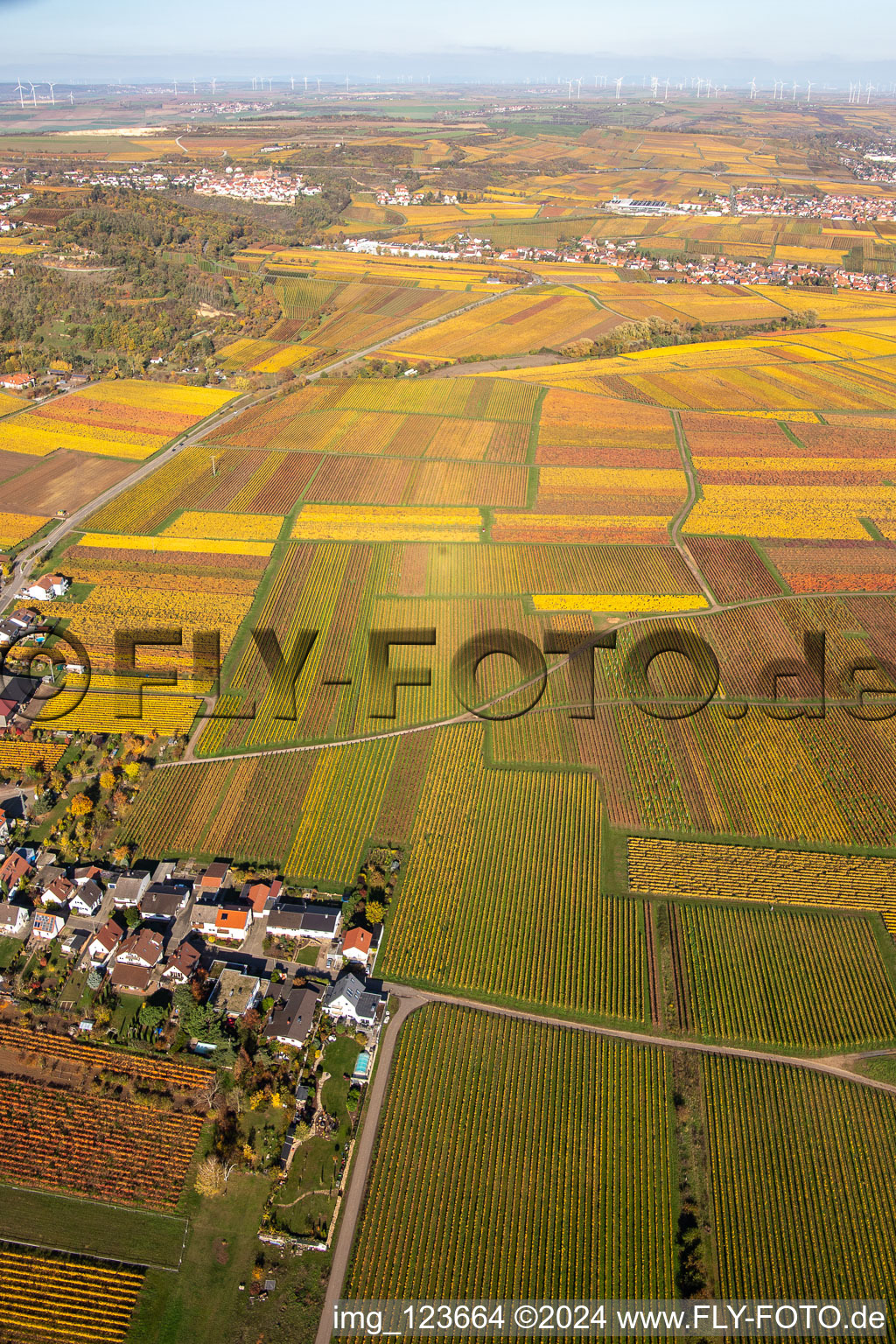 Oblique view of Kleinkarlbach in the state Rhineland-Palatinate, Germany