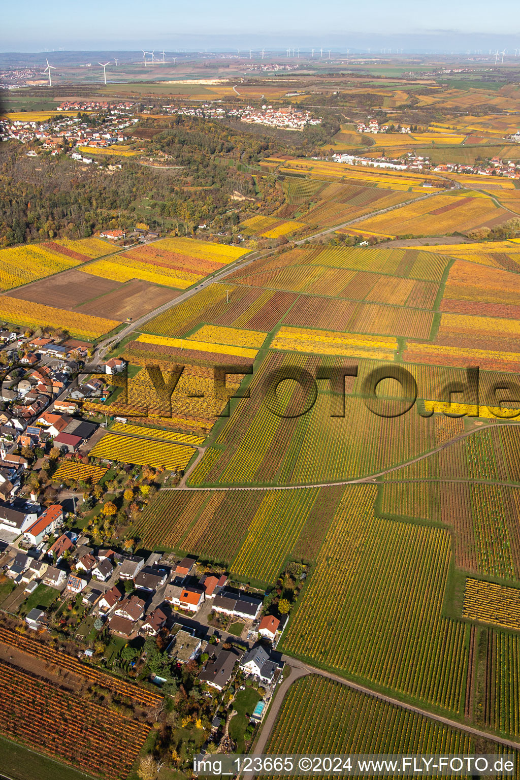 Kleinkarlbach in the state Rhineland-Palatinate, Germany from above