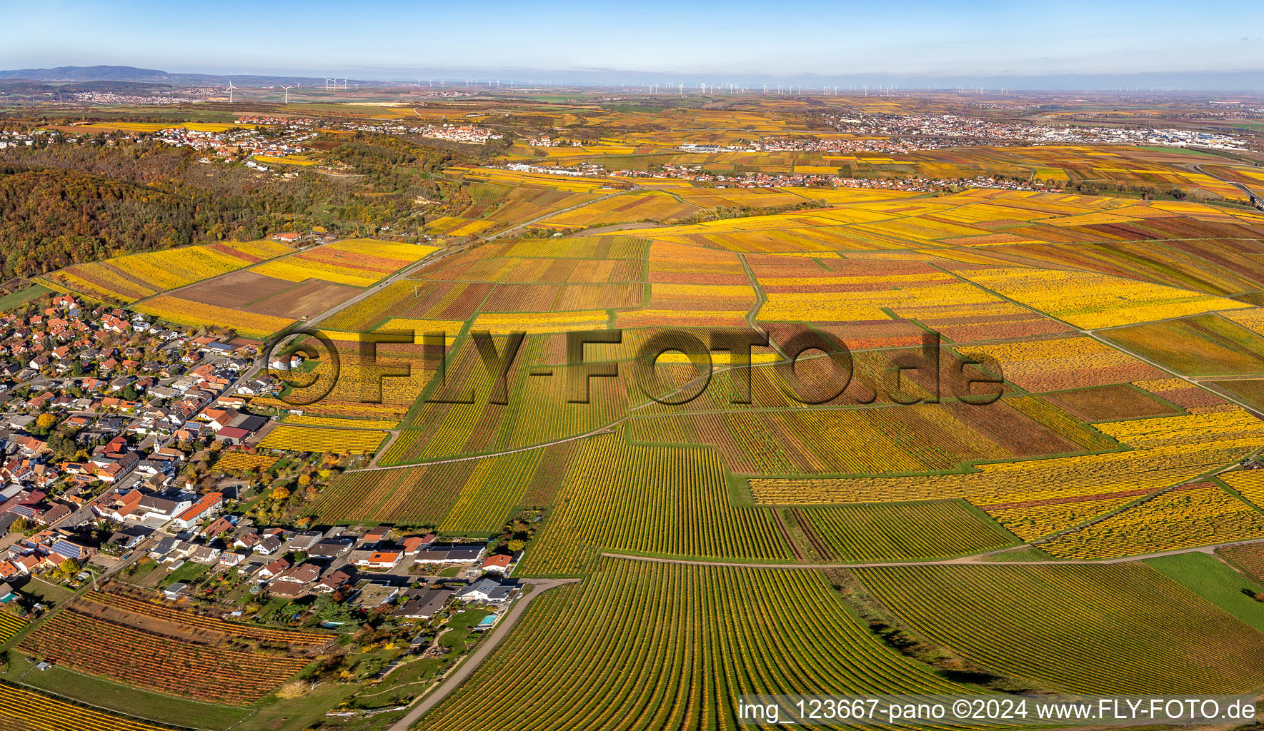 Autumnal discolored wineyards betweeen Kleinkarlbach and Bobenheim am Berg in the state Rhineland-Palatinate, Germany