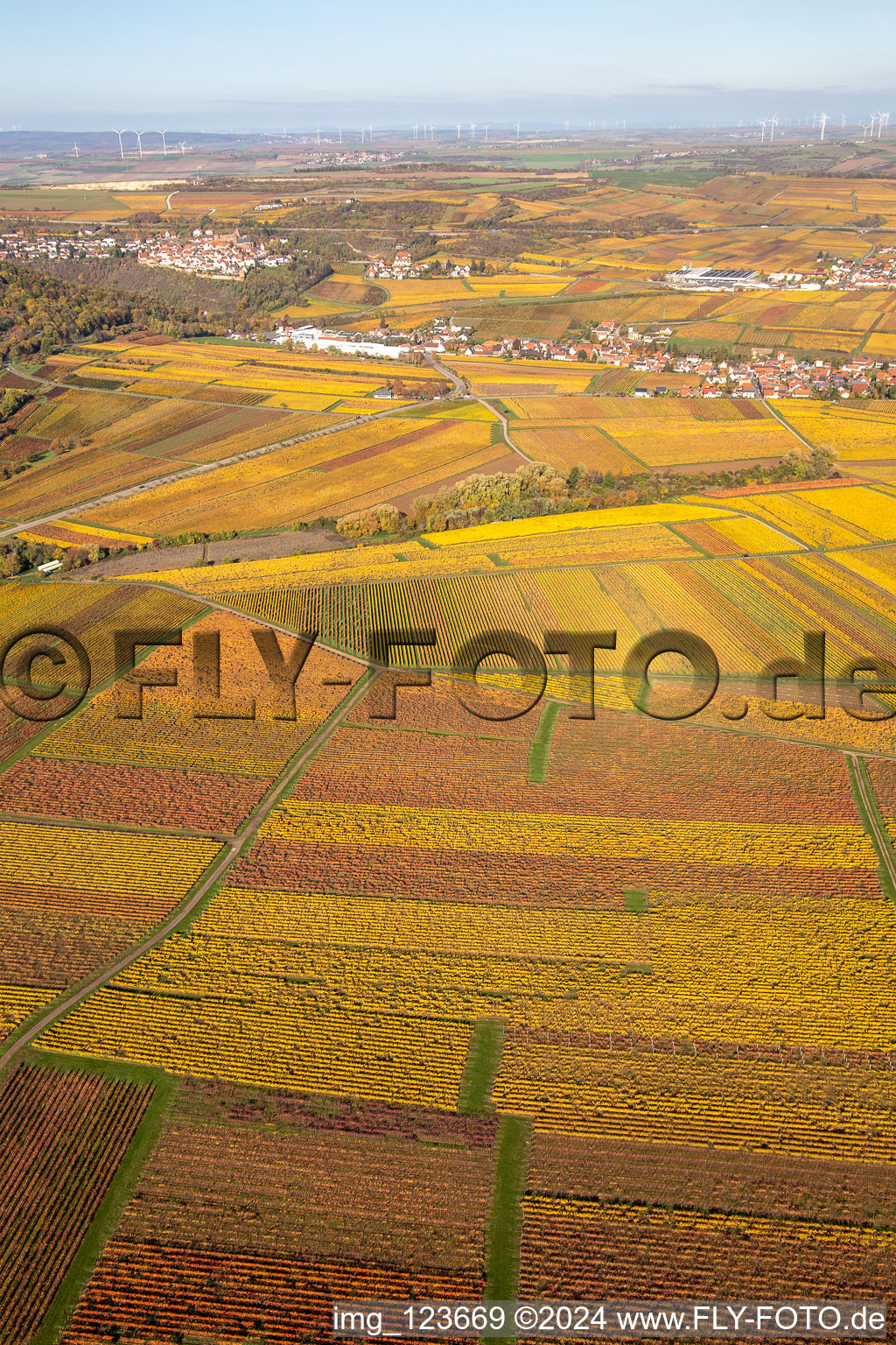 Kleinkarlbach in the state Rhineland-Palatinate, Germany out of the air