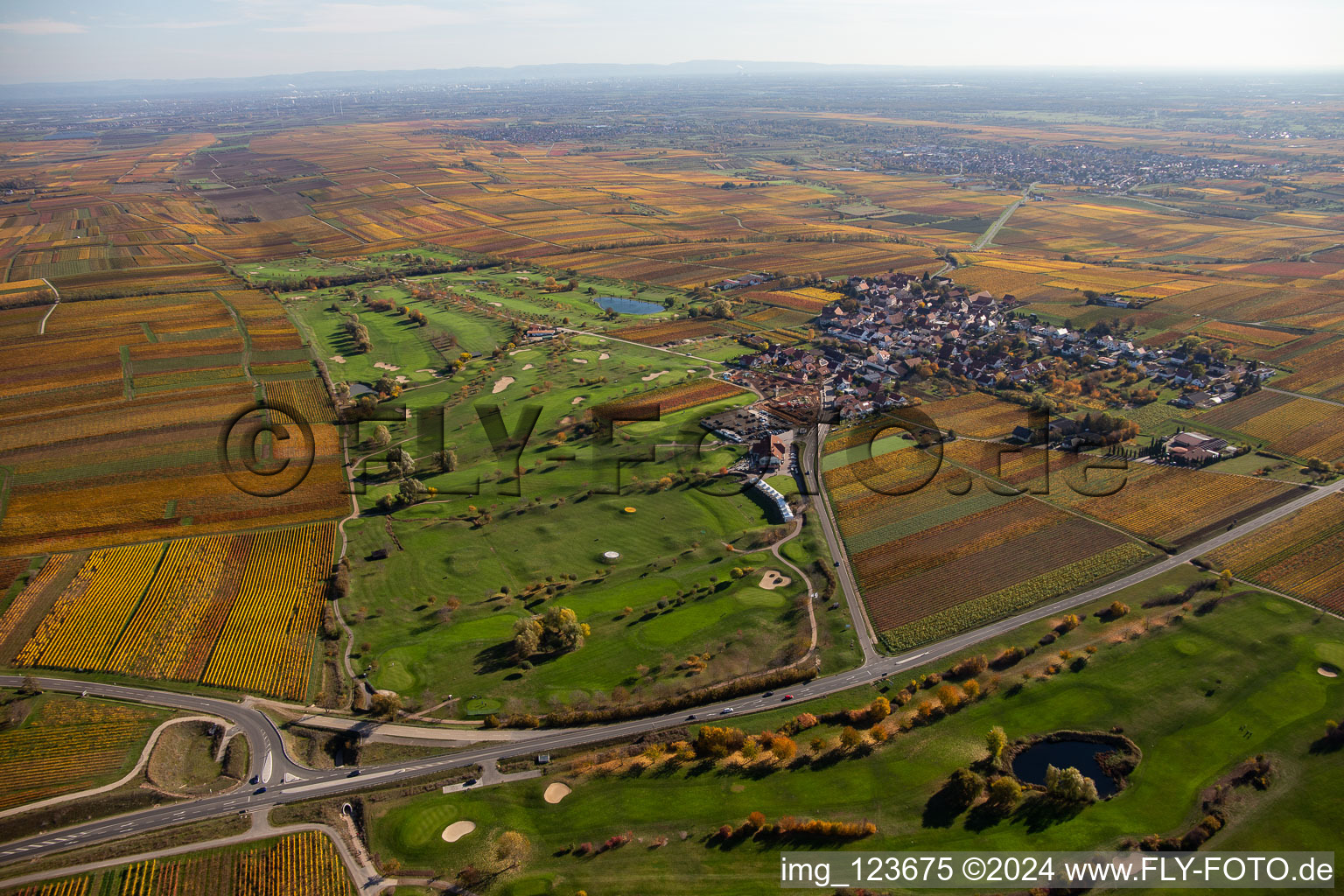 Grounds of the Golf course at Golfgarten Deutsche Weinstrasse - Dackenheim - GOLF absolute in Dackenheim in the state Rhineland-Palatinate, Germany from the plane