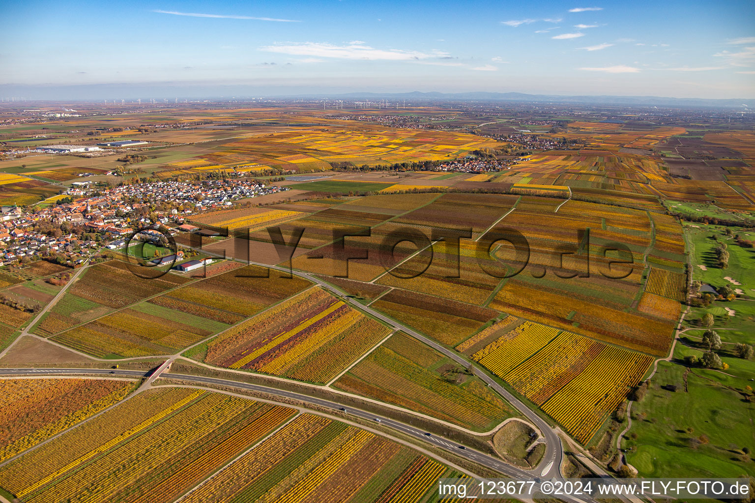 Kirchheim an der Weinstraße in the state Rhineland-Palatinate, Germany from the drone perspective