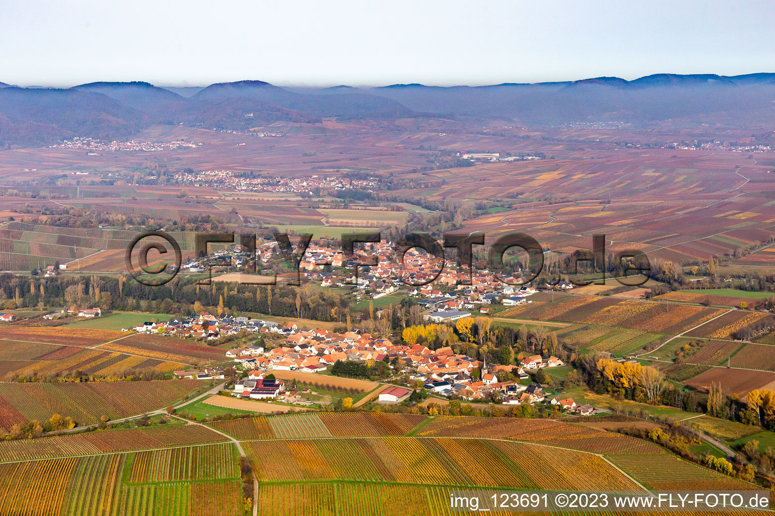 Aerial view of Fields of wine cultivation landscape in indian summer colours in Heuchelheim-Klingen in the state Rhineland-Palatinate, Germany