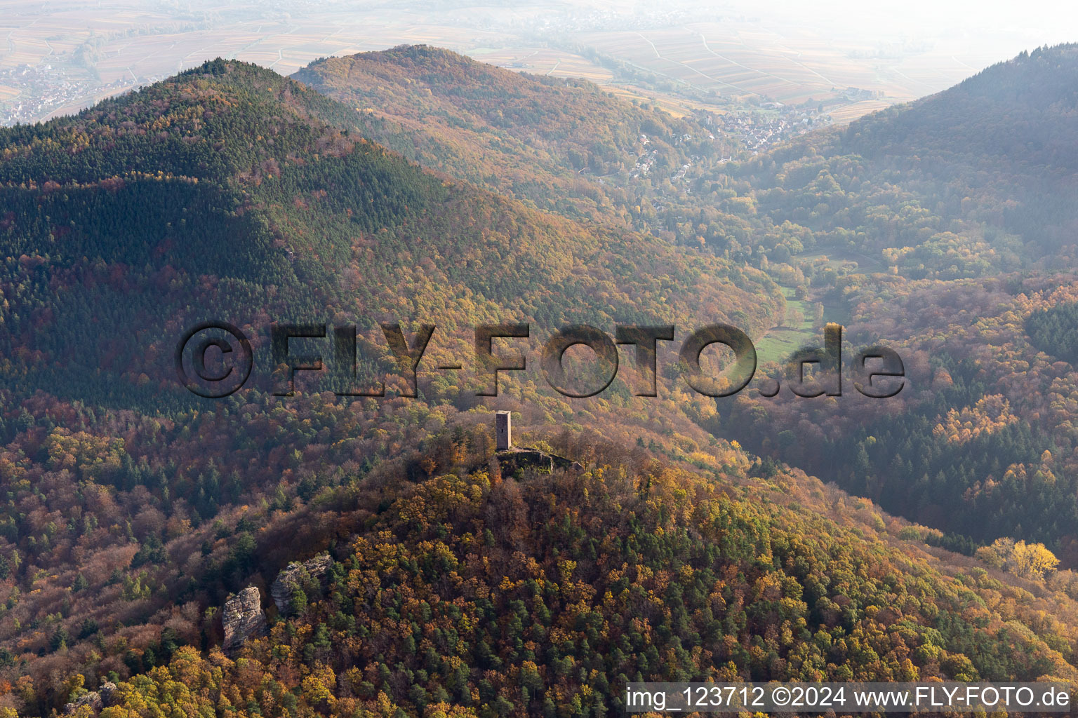 Scharfenberg Castle Ruins in Leinsweiler in the state Rhineland-Palatinate, Germany