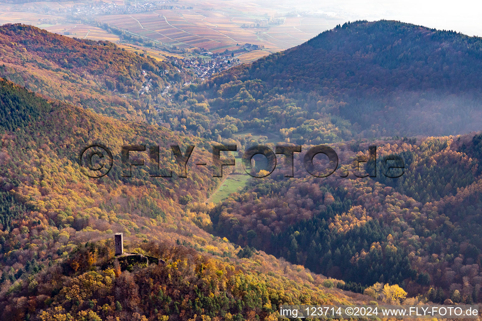 Aerial view of Scharfenberg Castle Ruins in Leinsweiler in the state Rhineland-Palatinate, Germany