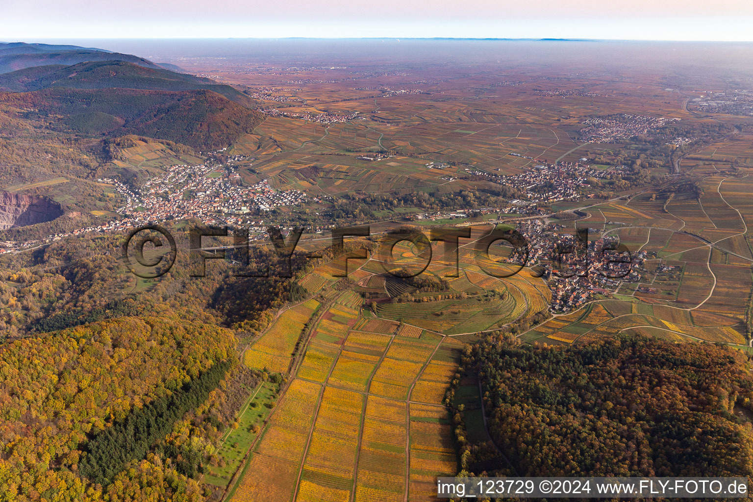 Autumnal discolored vegetation view into the rhine valley landscape from the exit of the Queich valley surrounded by mountains in Albersweiler in the state Rhineland-Palatinate, Germany