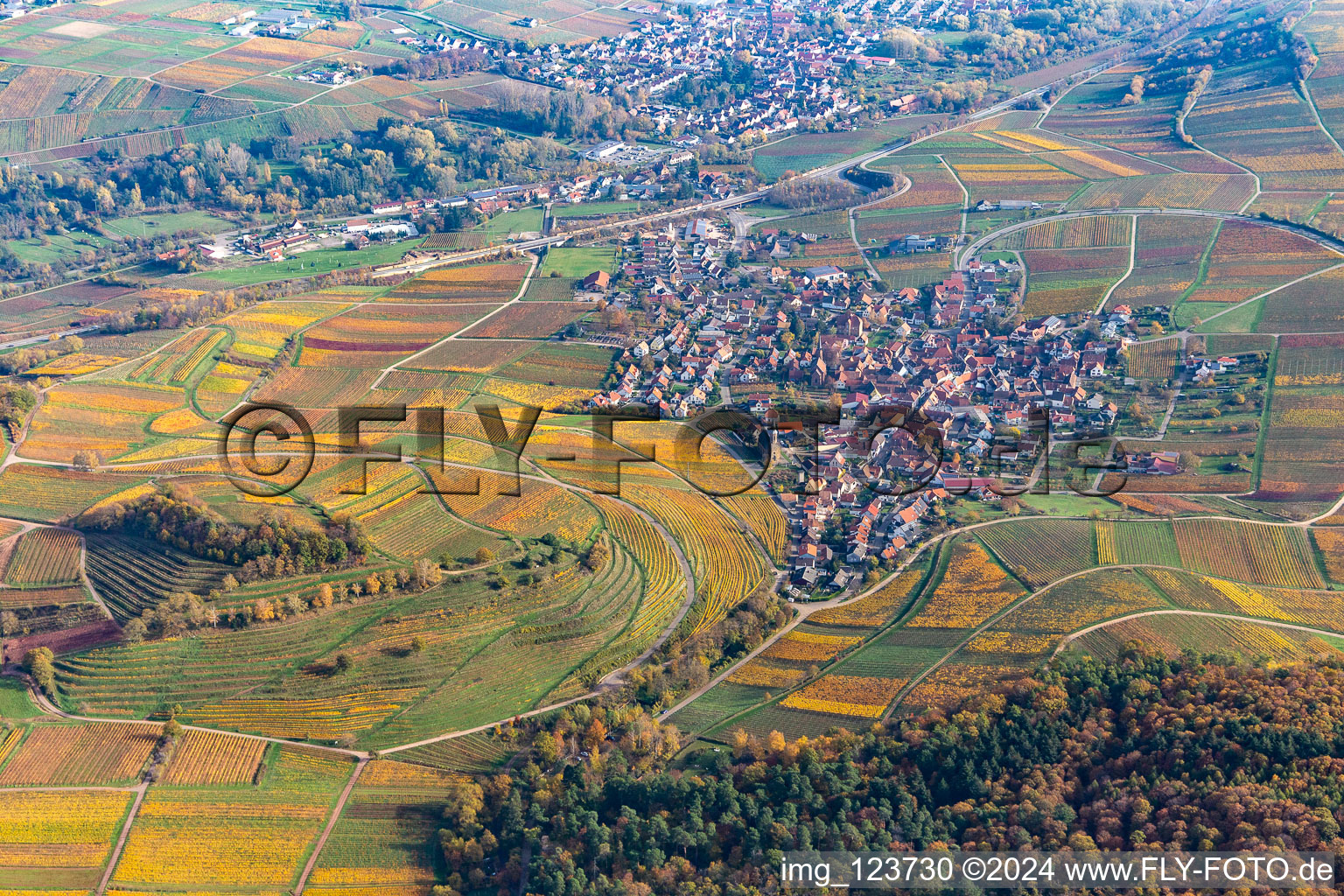 Autumnal discolored wine yards surround the settlement area of the village in Birkweiler in the state Rhineland-Palatinate, Germany