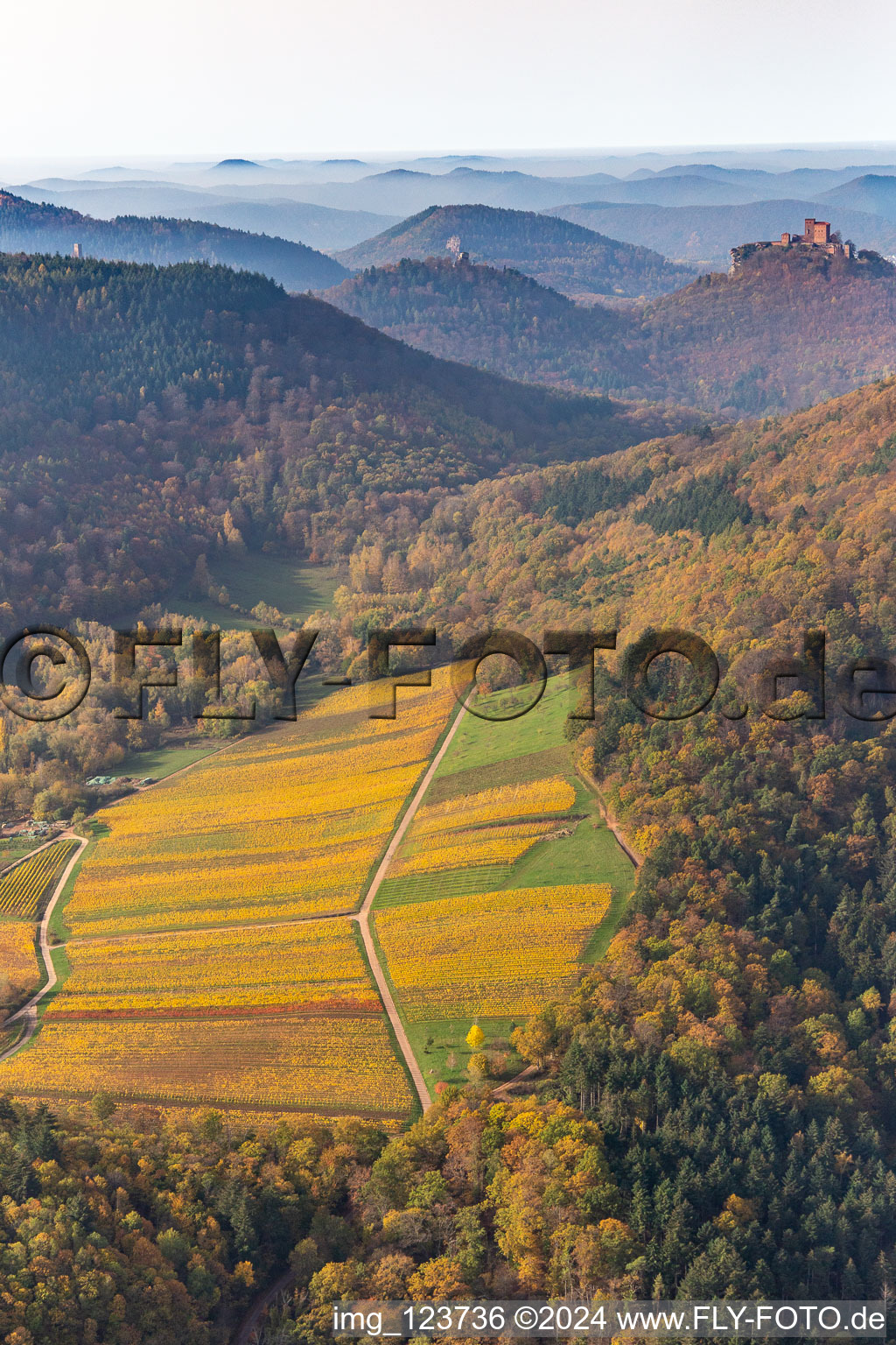 Aerial view of Autumnal discolored vegetation view of castle of the fortresses Trifels, Scharfeneck and Anebos at sunset in Annweiler am Trifels in the state Rhineland-Palatinate, Germany