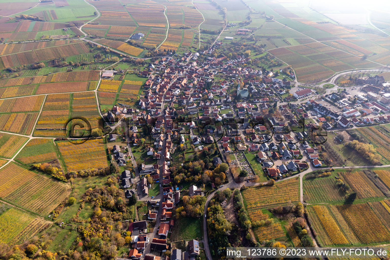 Bird's eye view of District Schweigen in Schweigen-Rechtenbach in the state Rhineland-Palatinate, Germany