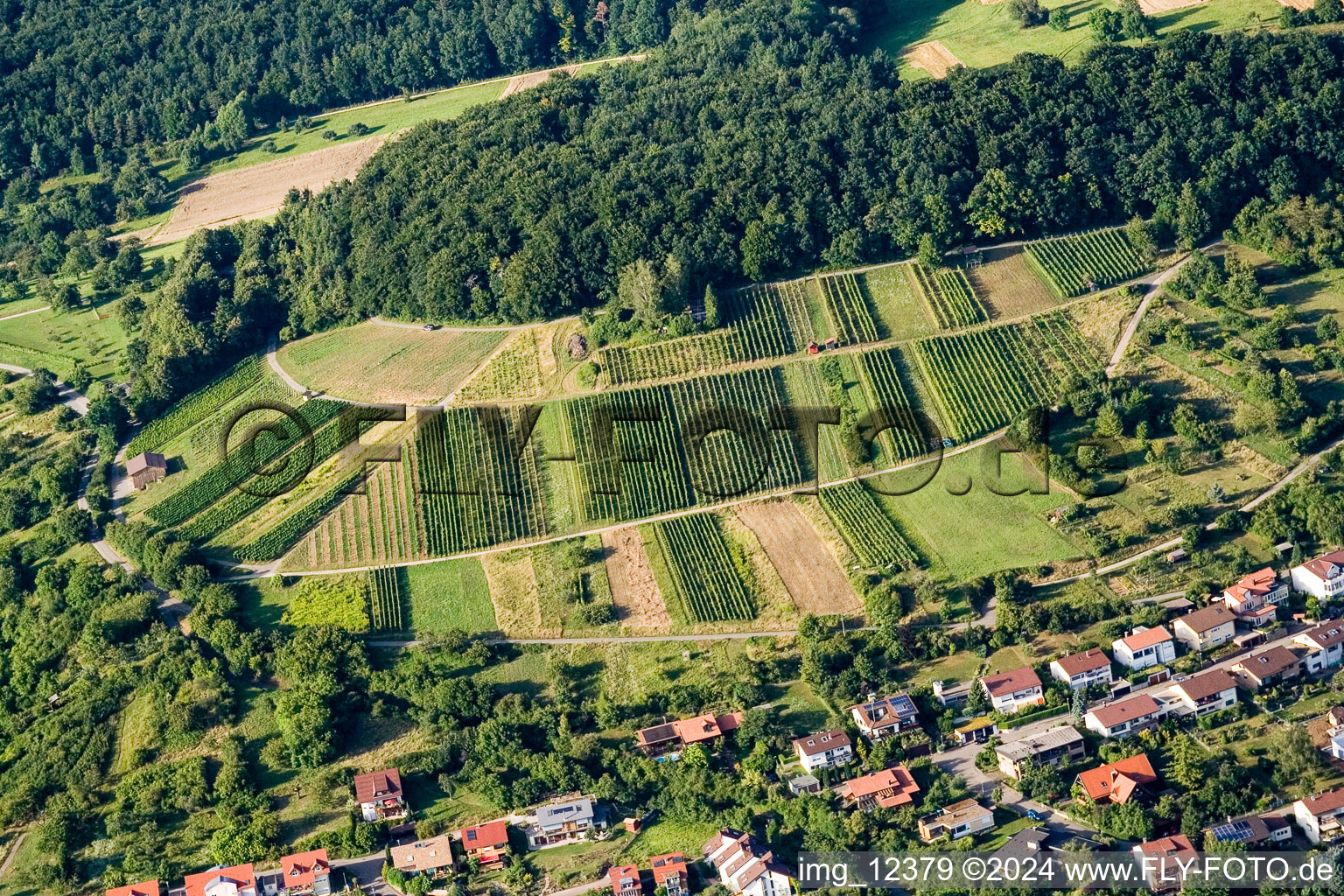 Vineyards in the district Dietlingen in Keltern in the state Baden-Wuerttemberg, Germany