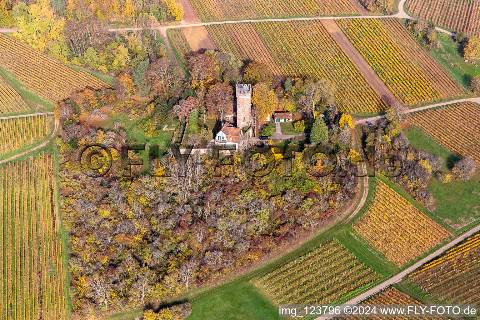 Autumnal discolored vegetation view of buildings and parks at the castle Chateau Saint Paul in Wissembourg in Grand Est, France