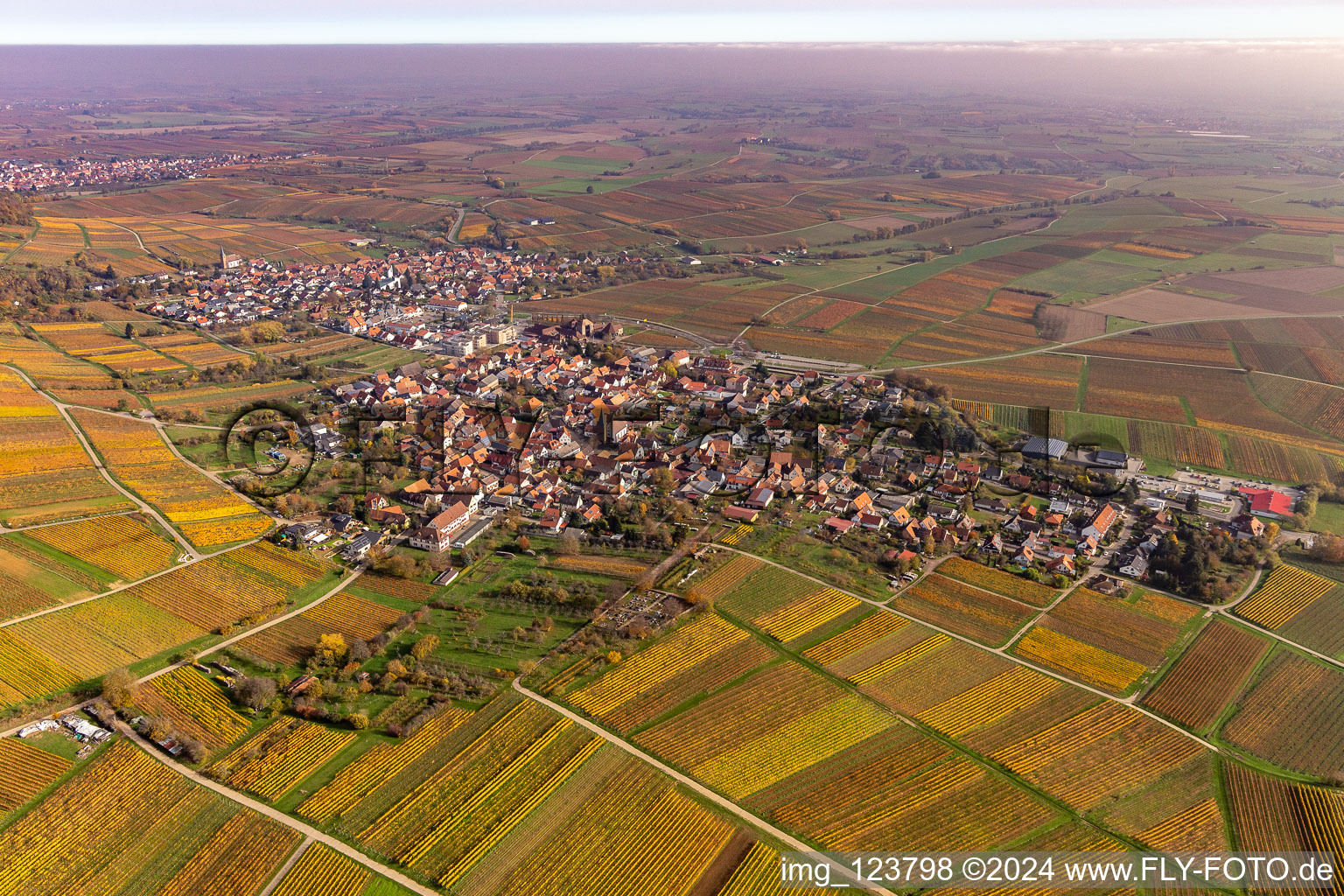 Autumnal discolored vegetation view village on the edge of vineyards and wineries in the wine-growing area in Schweigen in the state Rhineland-Palatinate, Germany