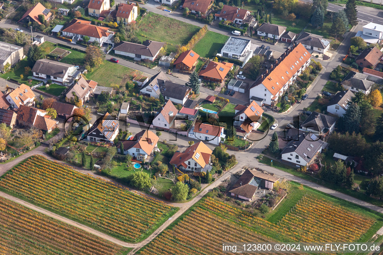 Drone recording of District Schweigen in Schweigen-Rechtenbach in the state Rhineland-Palatinate, Germany