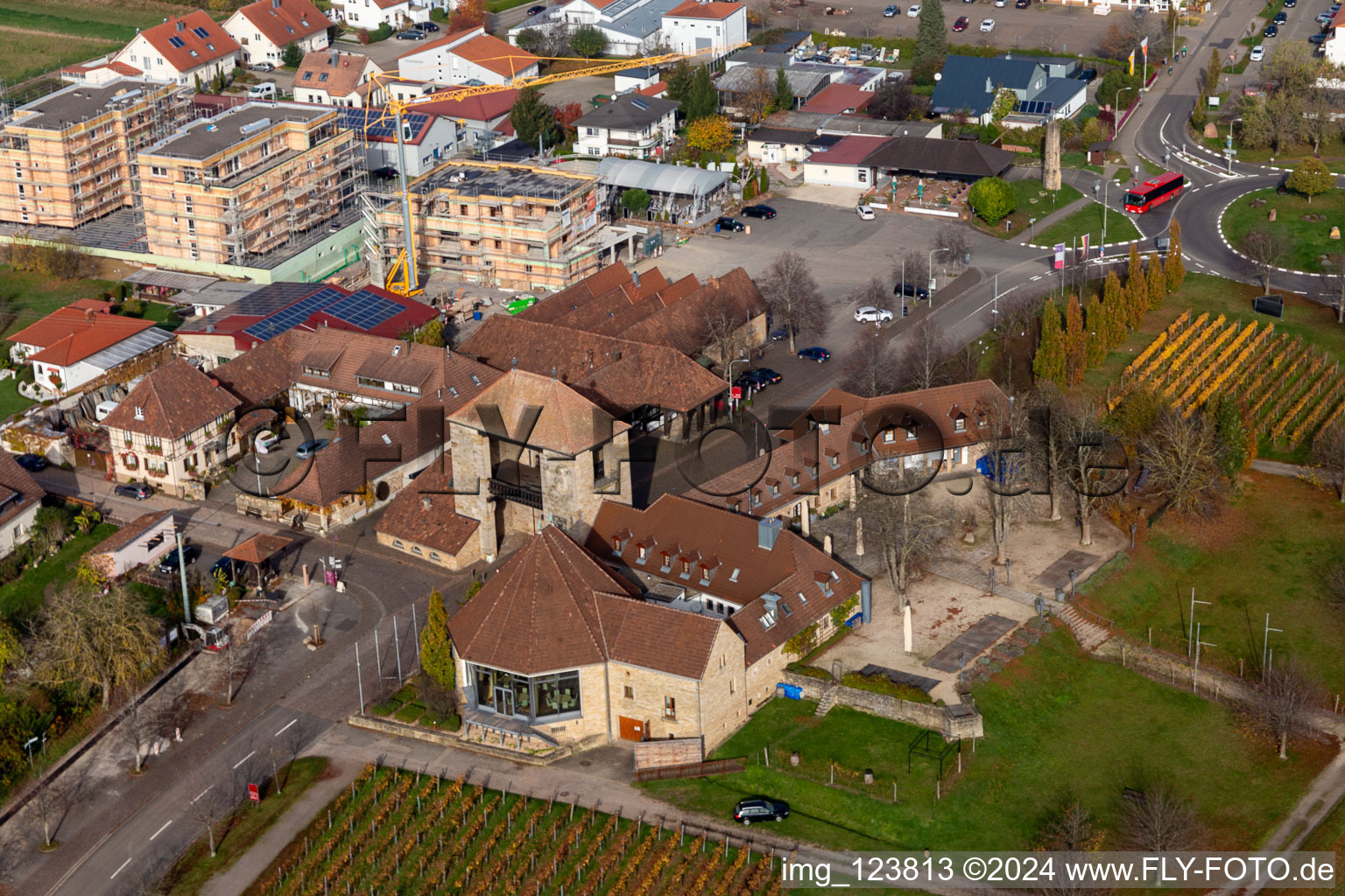 District Schweigen in Schweigen-Rechtenbach in the state Rhineland-Palatinate, Germany from the drone perspective