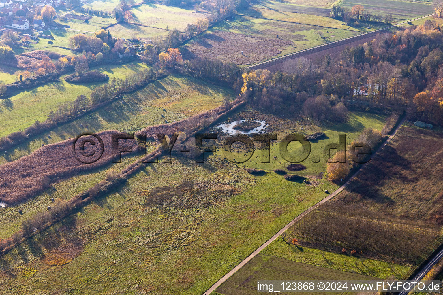 Billigheimer Bruch, Erlenbachtal between Barbelroth, Hergersweiler and Winden in the district Mühlhofen in Billigheim-Ingenheim in the state Rhineland-Palatinate, Germany from above