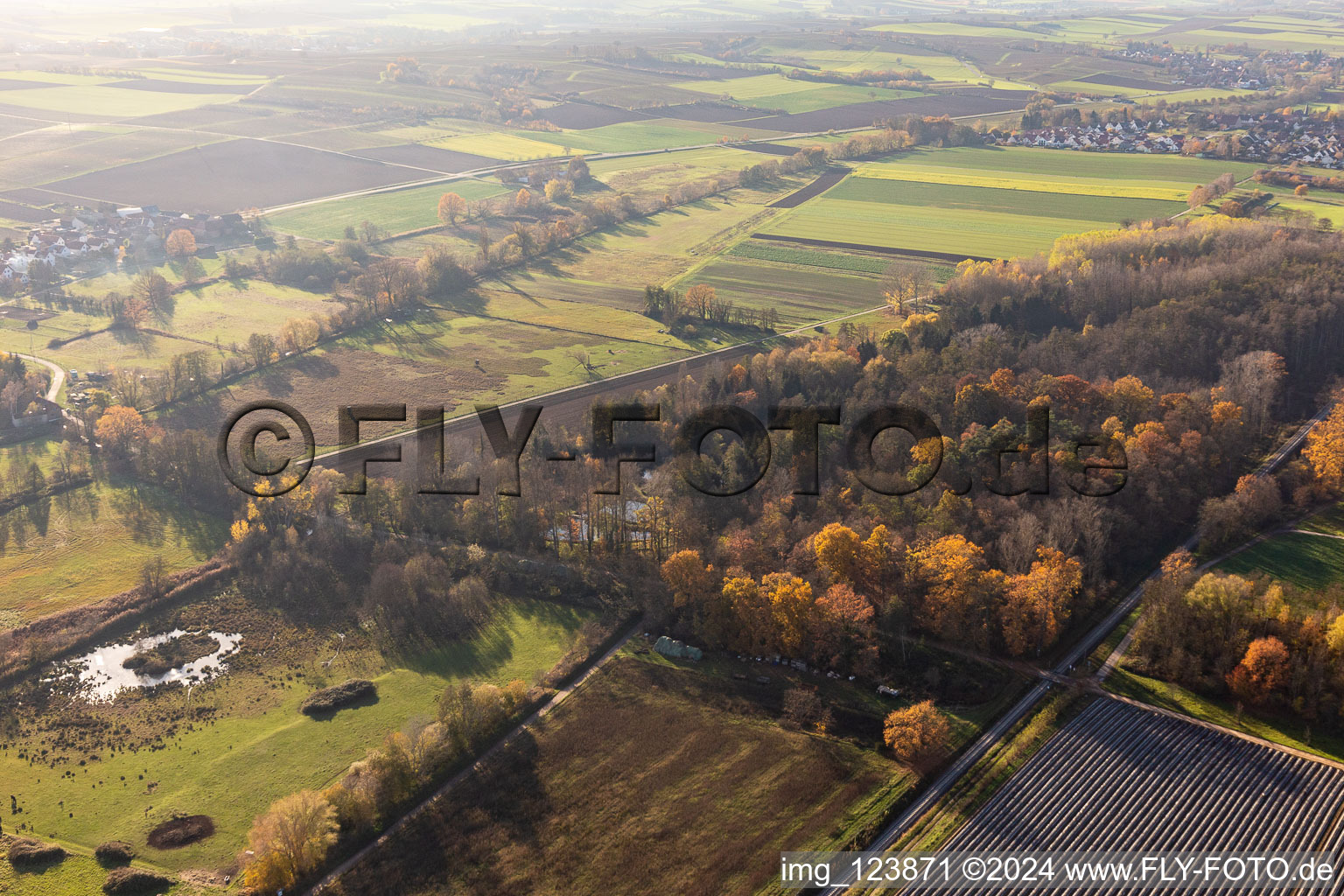 Billigheimer Bruch, Erlenbachtal between Barbelroth, Hergersweiler and Winden in the district Mühlhofen in Billigheim-Ingenheim in the state Rhineland-Palatinate, Germany seen from above