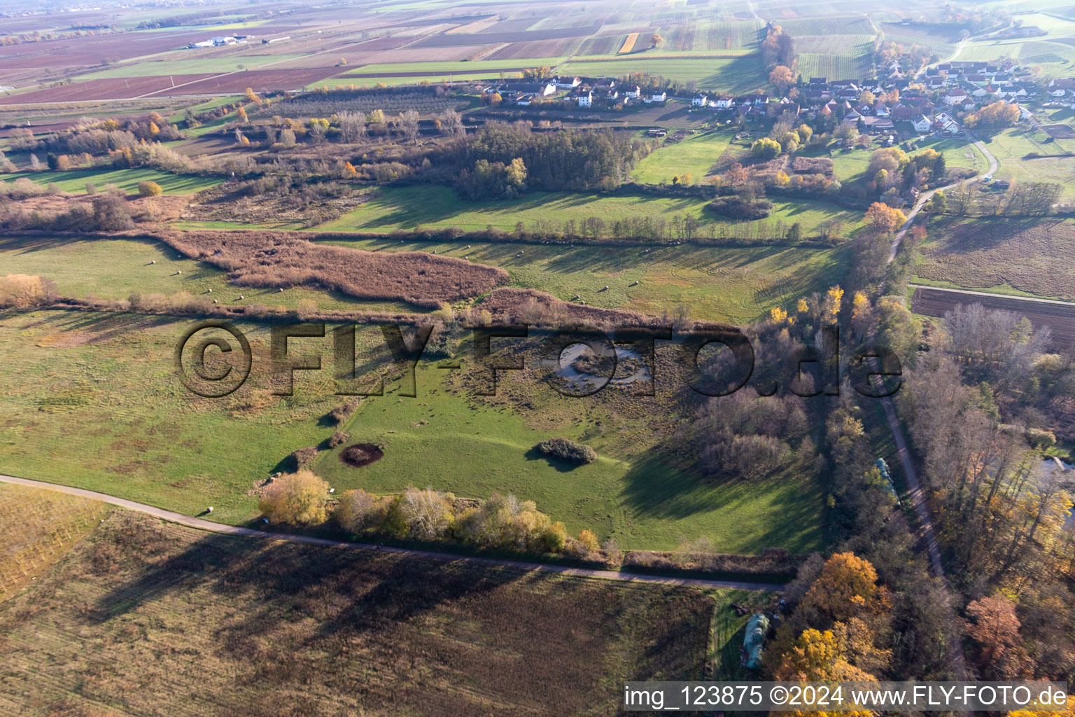 Aerial view of Billigheimer Bruch, Erlenbachtal between Barbelroth, Hergersweiler and Winden in the district Ingenheim in Billigheim-Ingenheim in the state Rhineland-Palatinate, Germany