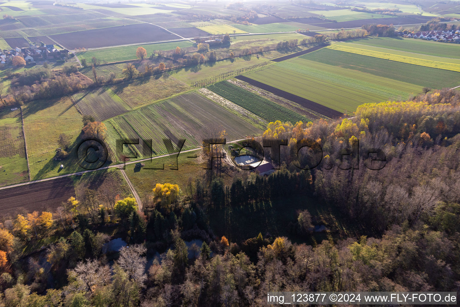 Billigheimer Bruch, Erlenbachtal between Barbelroth, Hergersweiler and Winden in Barbelroth in the state Rhineland-Palatinate, Germany