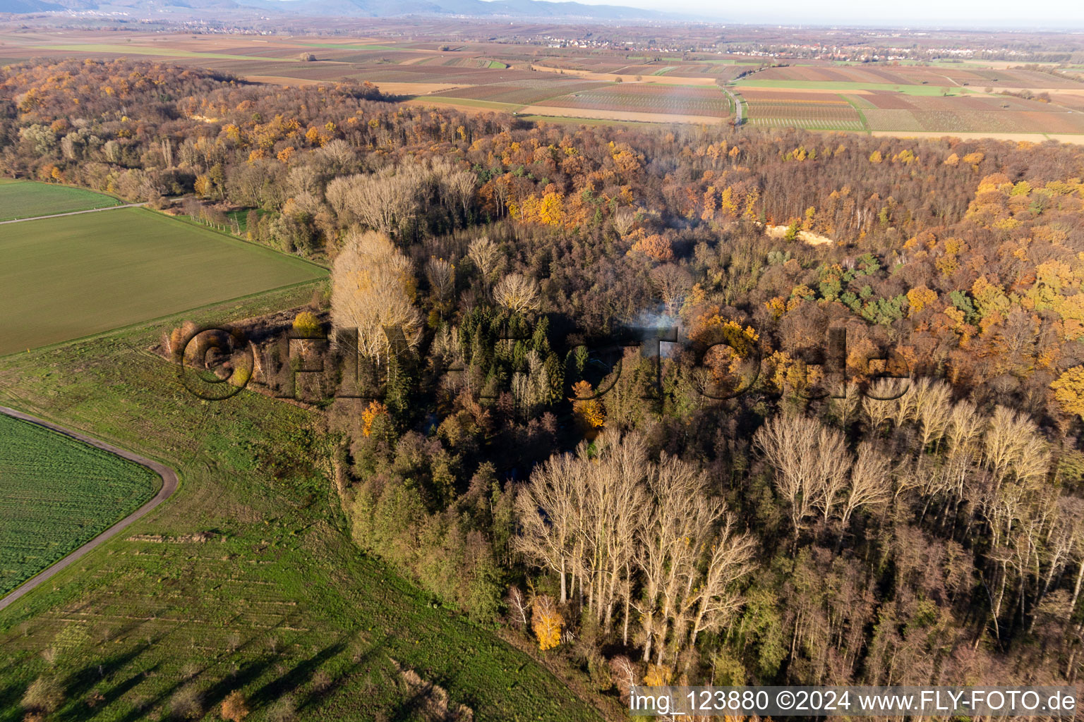 Oblique view of Billigheimer Bruch, Erlenbachtal between Barbelroth, Hergersweiler and Winden in Barbelroth in the state Rhineland-Palatinate, Germany