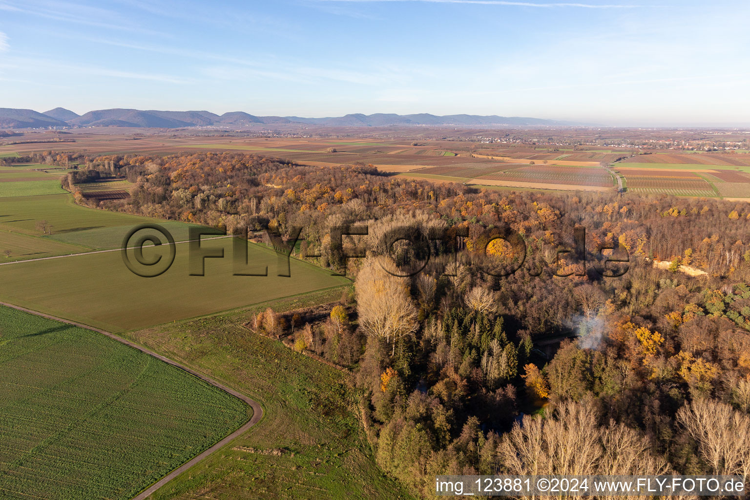 Billigheimer Bruch, Erlenbachtal between Barbelroth, Hergersweiler and Winden in Barbelroth in the state Rhineland-Palatinate, Germany from above