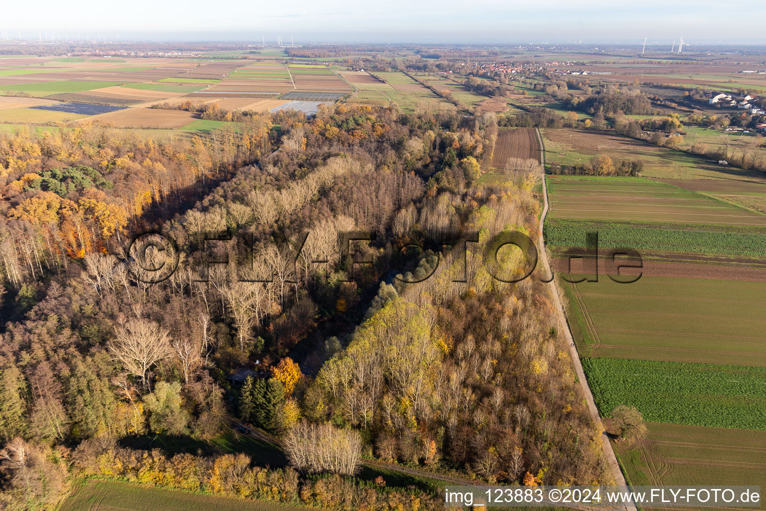 Billigheimer Bruch, Erlenbachtal between Barbelroth, Hergersweiler and Winden in Barbelroth in the state Rhineland-Palatinate, Germany out of the air