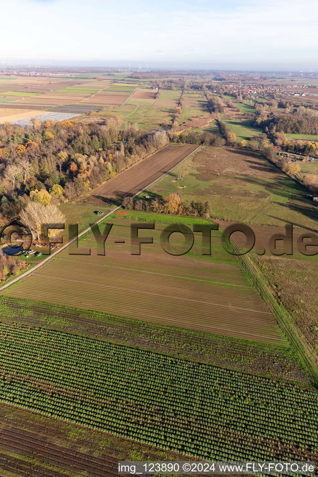 Drone image of Billigheimer Bruch, Erlenbachtal between Barbelroth, Hergersweiler and Winden in Barbelroth in the state Rhineland-Palatinate, Germany