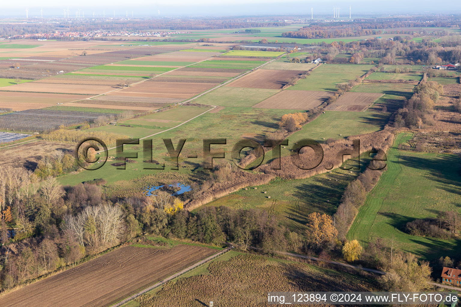 Bird's eye view of Billigheimer Bruch, Erlenbachtal between Barbelroth, Hergersweiler and Winden in the district Mühlhofen in Billigheim-Ingenheim in the state Rhineland-Palatinate, Germany