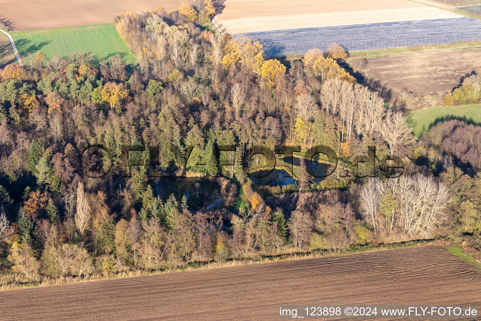 Billigheimer Bruch, Erlenbachtal between Barbelroth, Hergersweiler and Winden in Barbelroth in the state Rhineland-Palatinate, Germany seen from a drone