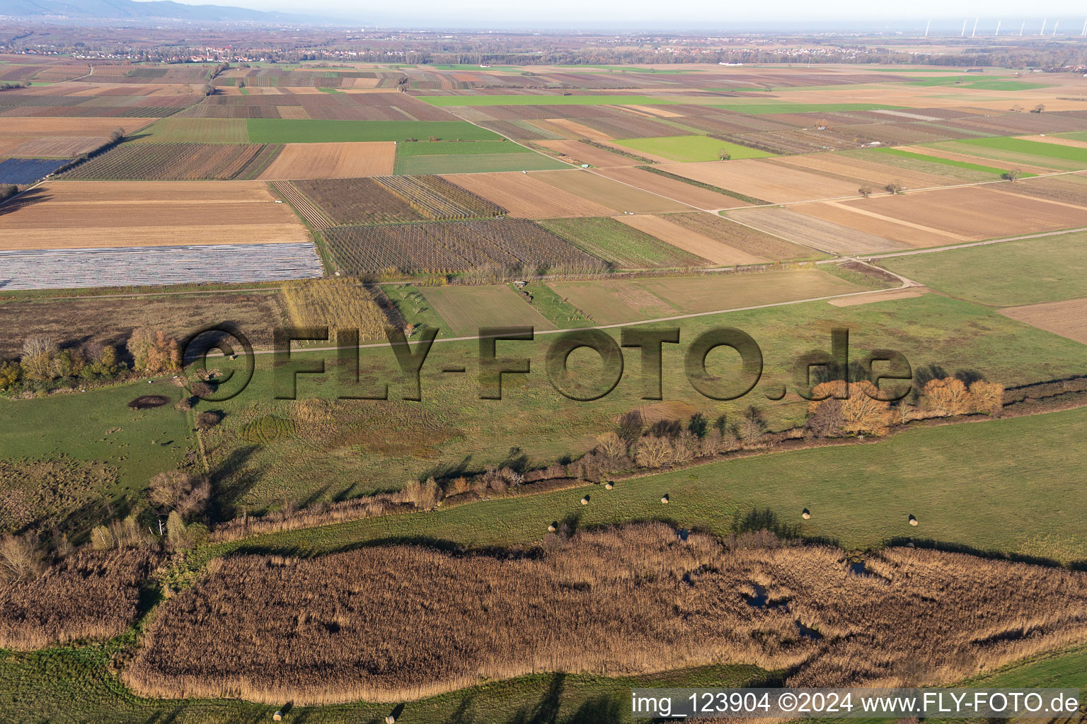 Billigheimer Bruch, Erlenbachtal between Barbelroth, Hergersweiler and Winden in the district Mühlhofen in Billigheim-Ingenheim in the state Rhineland-Palatinate, Germany seen from a drone