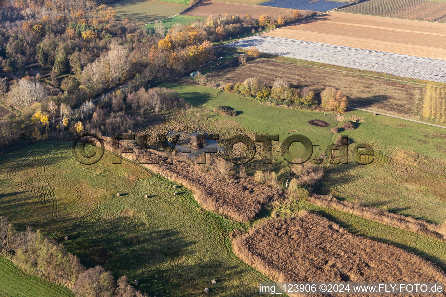 Aerial photograpy of Billigheimer Bruch, Erlenbachtal between Barbelroth, Hergersweiler and Winden in the district Mühlhofen in Billigheim-Ingenheim in the state Rhineland-Palatinate, Germany