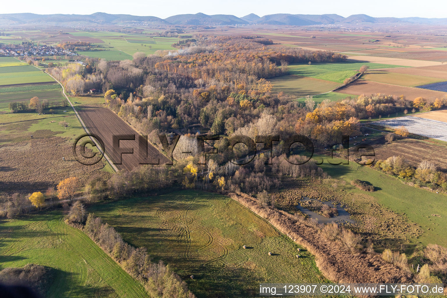 Oblique view of Billigheimer Bruch, Erlenbachtal between Barbelroth, Hergersweiler and Winden in the district Mühlhofen in Billigheim-Ingenheim in the state Rhineland-Palatinate, Germany