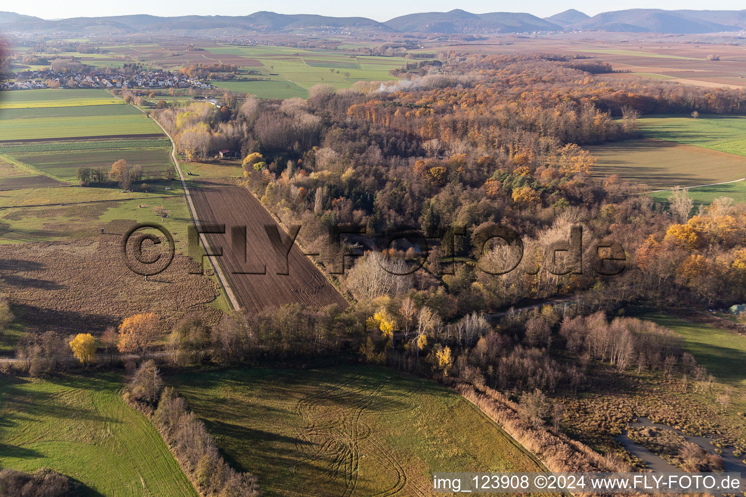 Billigheimer Bruch, Erlenbachtal between Barbelroth, Hergersweiler and Winden in the district Mühlhofen in Billigheim-Ingenheim in the state Rhineland-Palatinate, Germany from above