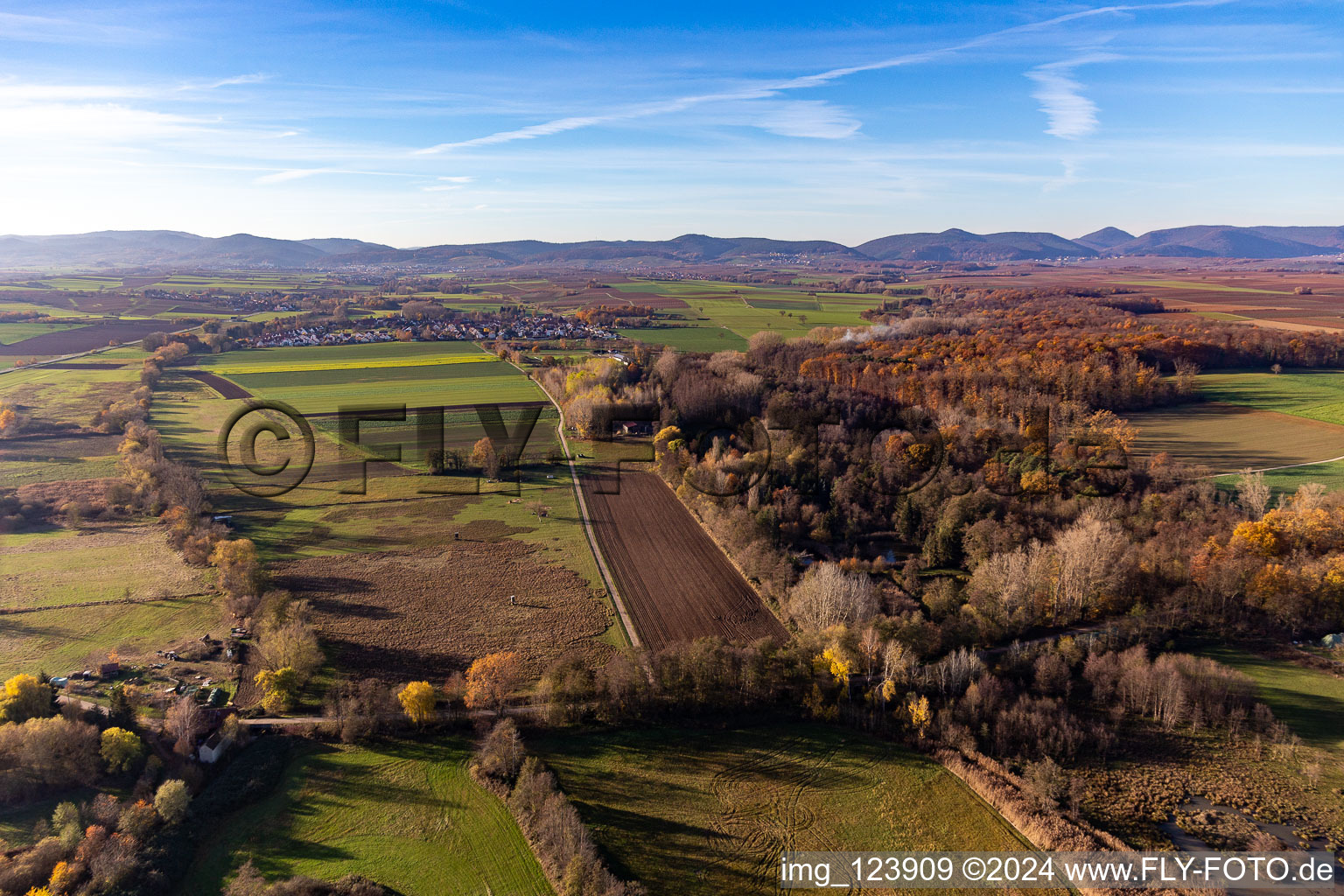 Billigheimer Bruch, Erlenbachtal between Barbelroth, Hergersweiler and Winden in the district Mühlhofen in Billigheim-Ingenheim in the state Rhineland-Palatinate, Germany out of the air