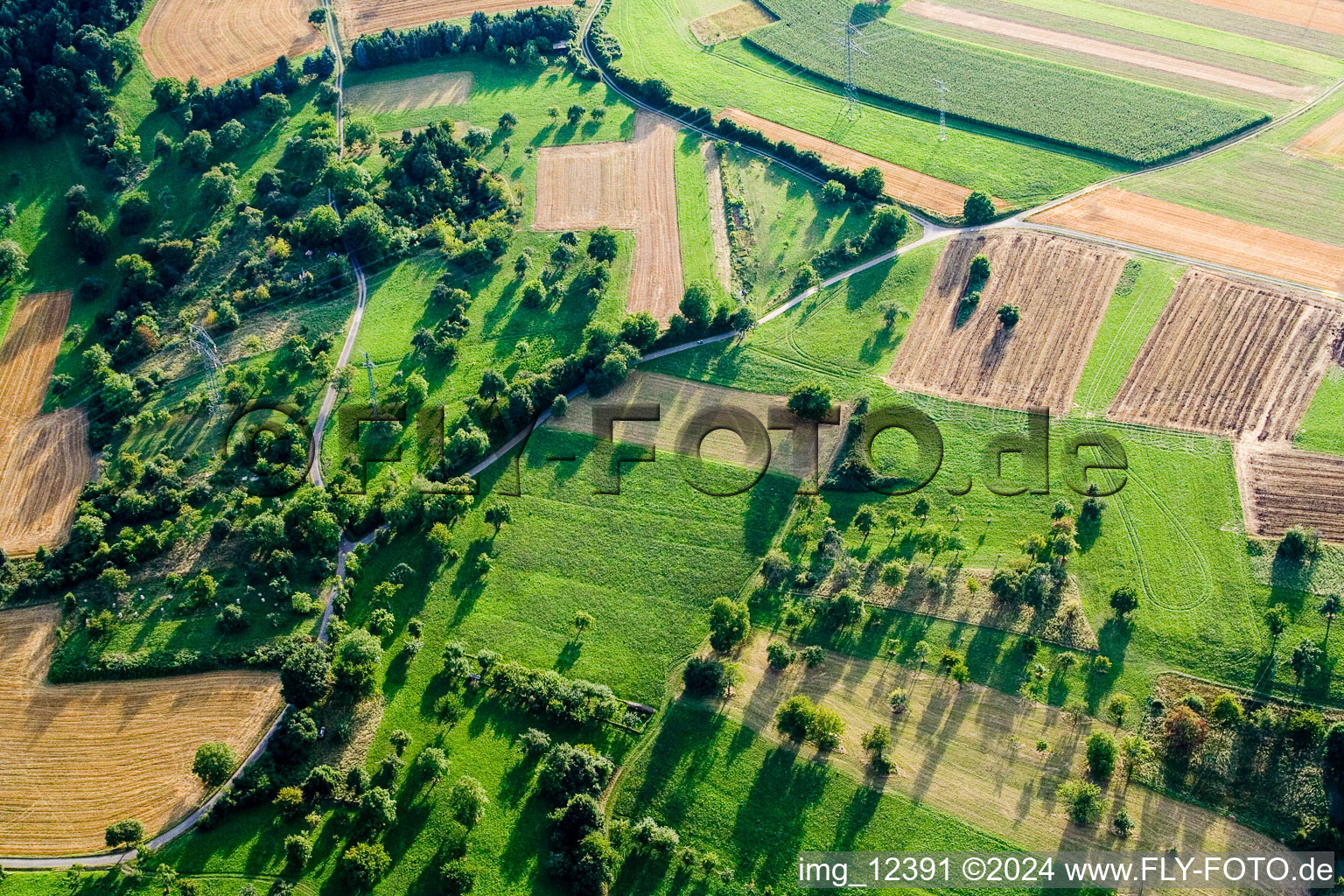 Meadows and bushes in the district Dietenhausen in Keltern in the state Baden-Wuerttemberg, Germany