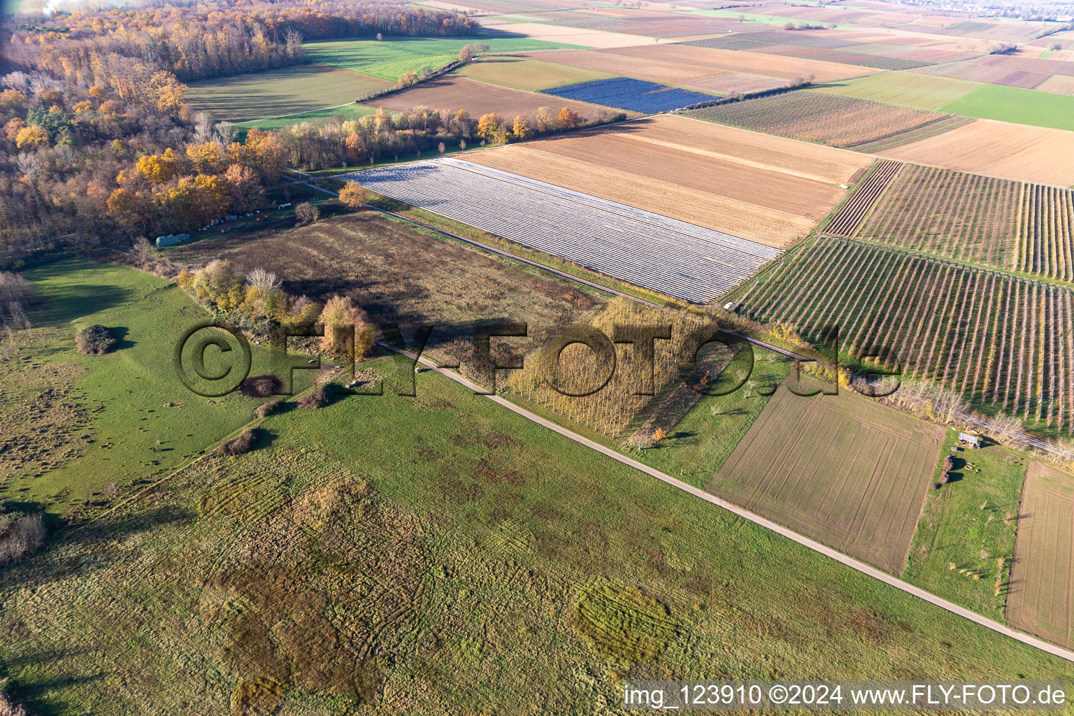 Billigheimer Bruch, Erlenbachtal between Barbelroth, Hergersweiler and Winden in the district Mühlhofen in Billigheim-Ingenheim in the state Rhineland-Palatinate, Germany seen from above