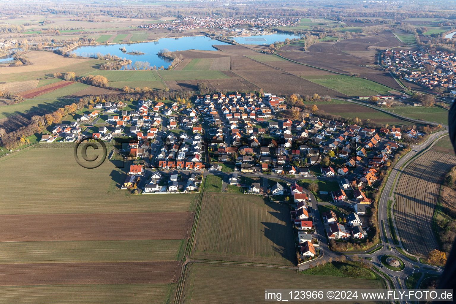 Hardtwald in Neupotz in the state Rhineland-Palatinate, Germany from above