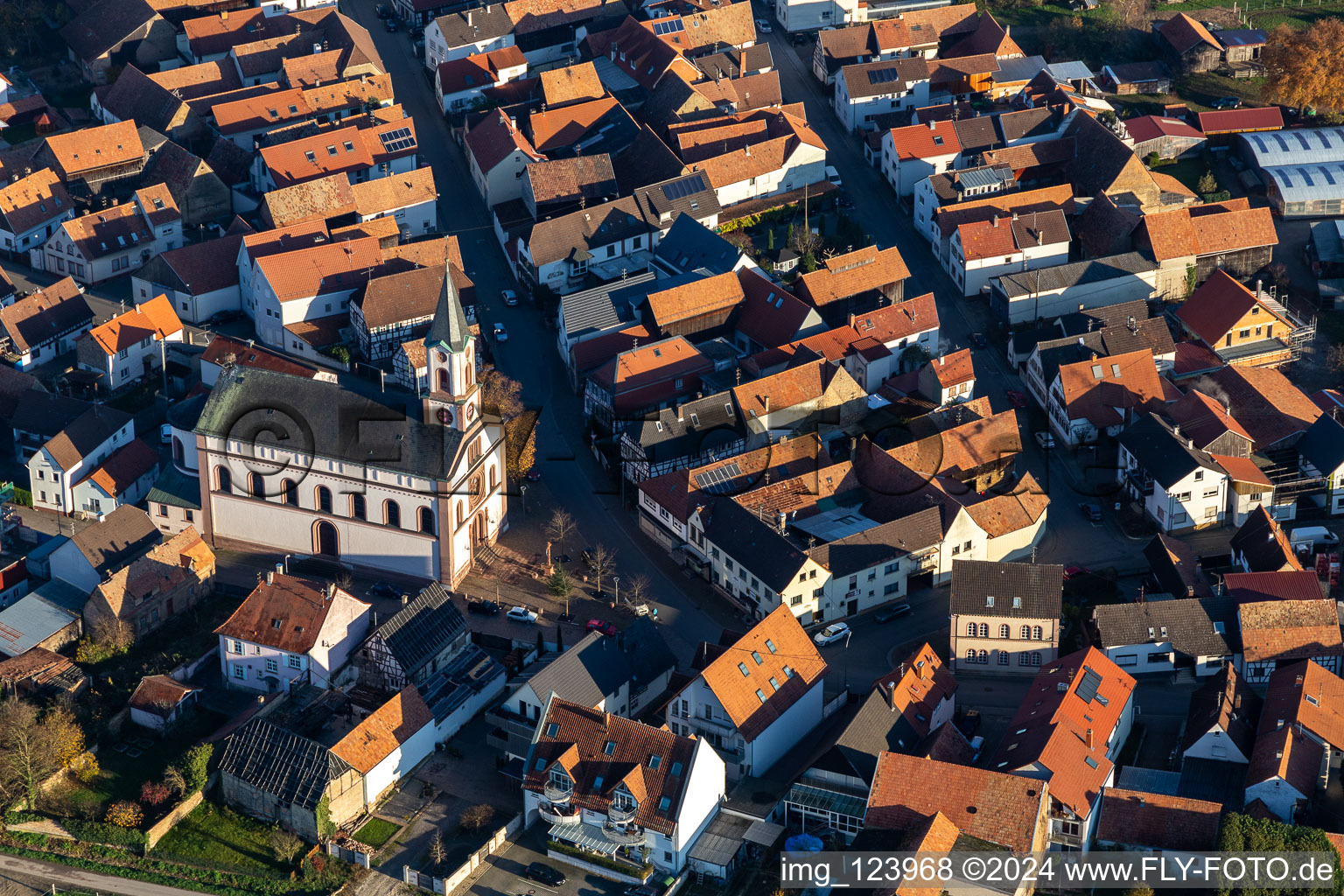 Neupotz in the state Rhineland-Palatinate, Germany from the plane