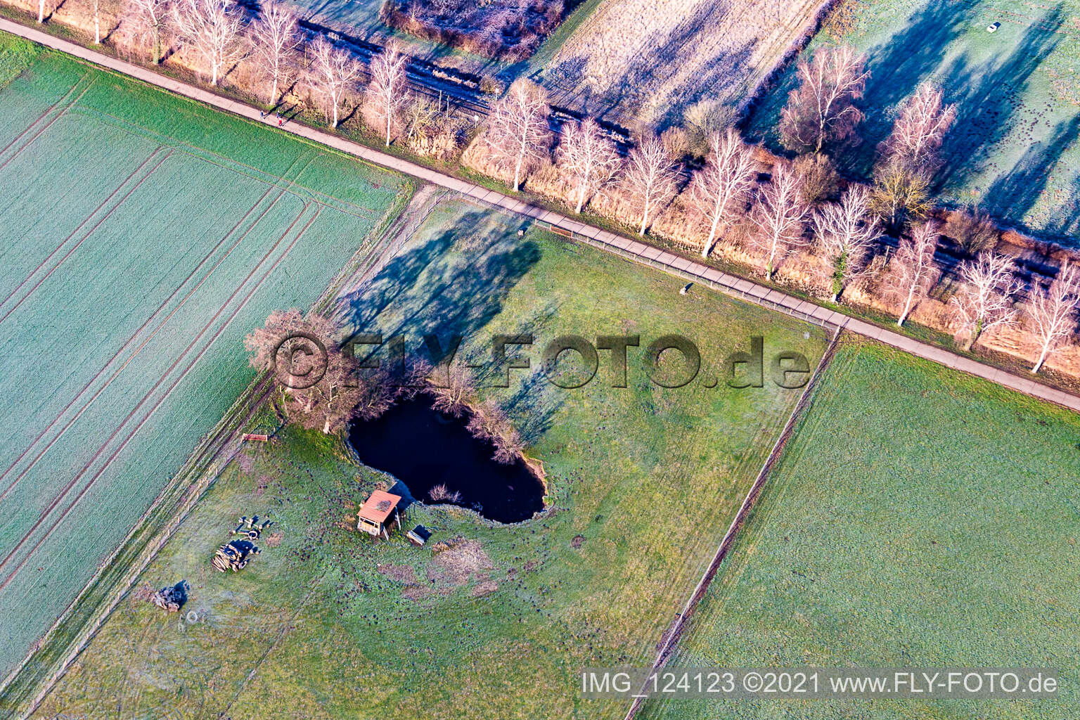 Aerial view of Biotope in the Bruchbach lowlands in Steinfeld in the state Rhineland-Palatinate, Germany