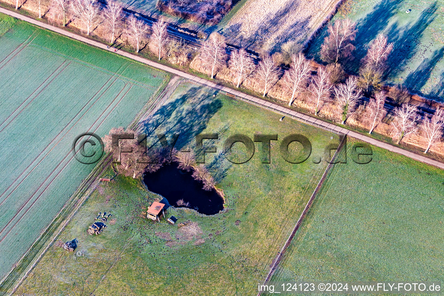 Aerial view of Biotope in the Bruchbach lowlands in Steinfeld in the state Rhineland-Palatinate, Germany