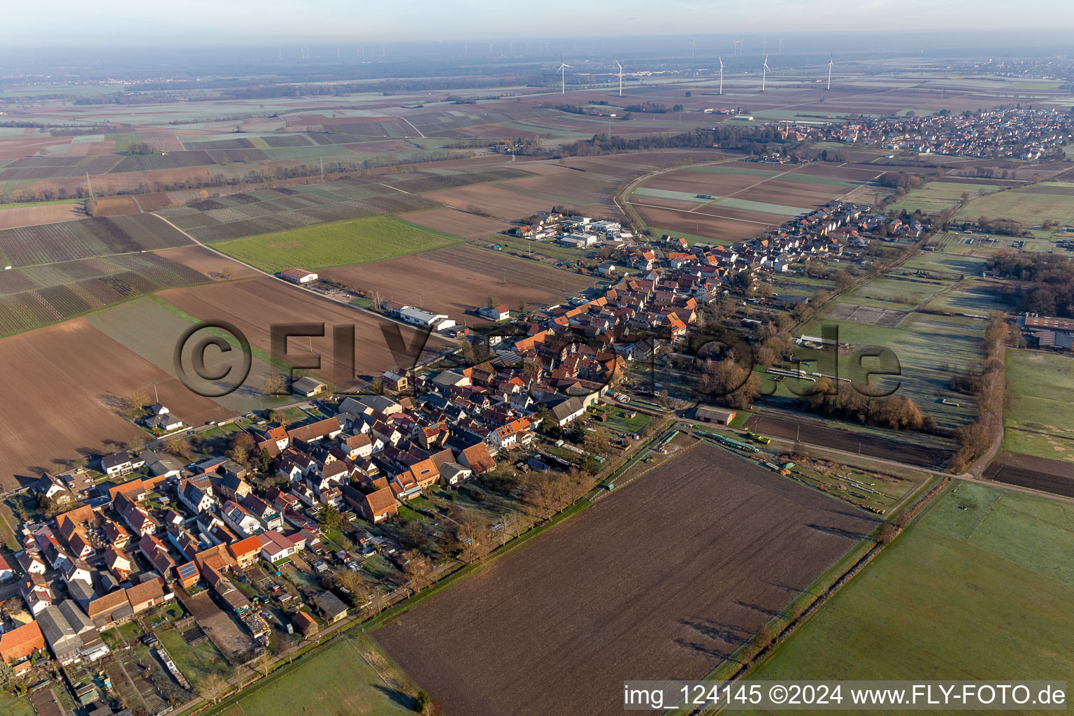 Freckenfeld in the state Rhineland-Palatinate, Germany from above